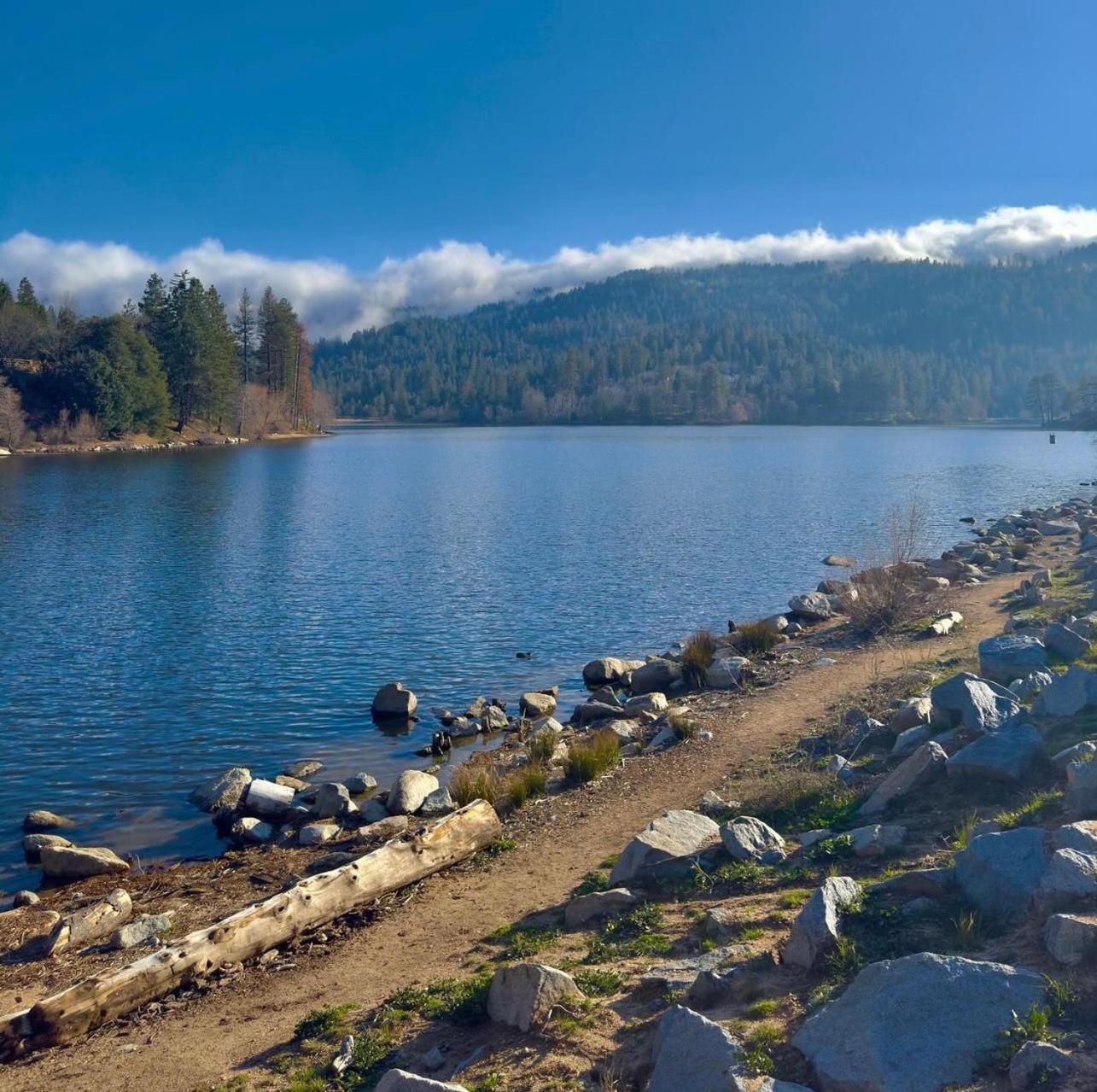 Bluebird Cabin Crestline Bagian luar foto